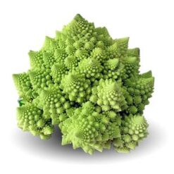 بذر کلم رومانسکو