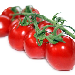 بذر گوجه فرنگی توت فرنگی