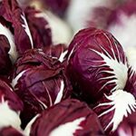 بذر کاسنی فرنگی ورونا قرمز بسته 50 عددی - Image 2
