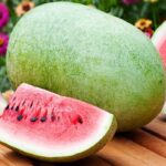 بذر هندوانه چارلستون خوش عطر استاندارد بسته 20 عددی - Image 2