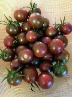 بذر گوجه فرنگی چری قهوه ای