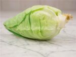 بذر کلم برگ سبز استوانه ای جرسی بسته 25 عددی - Image 3