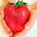 بذر توت فرنگی غول پیکر بسته ۵۰ عددی - Image 2