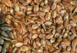 بذر هندوانه تخم ژاپنی بسته 20 تایی - Image 4