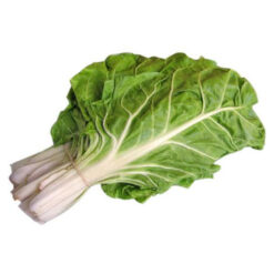 بذر سوئیس چارد برگ درشت