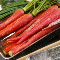 بذر هویج قرمز