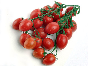 بذر گوجه فرنگی چری زیتونی