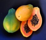 بذر پاپایا (خربزه درختی ) قرمز برزیلی پا متوسط بسته ۵ عددی - Image 7