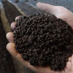 کود ورمی کمپوست