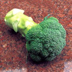 بذر کلم بروکلی تک گل زودرس