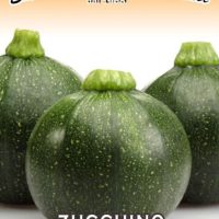 بذرکدو خورشتی دلمه