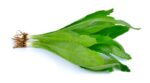 بذر سبزی کالانترو بسته 20 عددی - Image 3