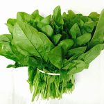 بذر اسفناج تیغ دار بسته 100 عددی