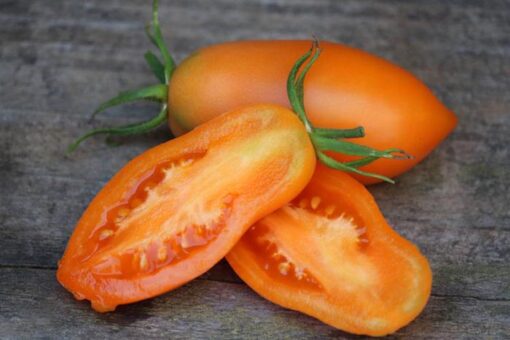 بذر گوجه فرنگی موزی نارنجی