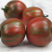 بذر گوجه فرنگی مشکی Vernissage