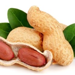 بذر بادام زمینی