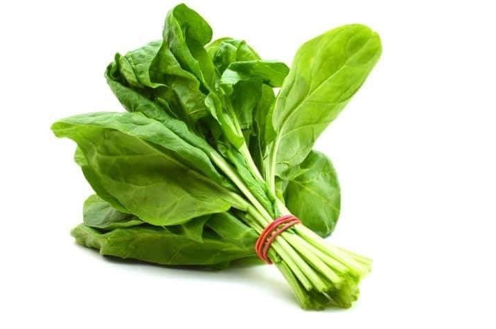 پرورش اسفناج