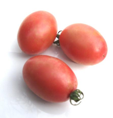 بذر گوجه فرنگی تخم مرغ صورتی