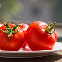 بذر گوجه فرنگی امین