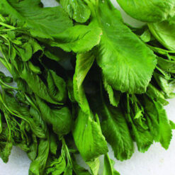 بذر شاهی برگ پهن