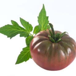 بذر گوجه فرنگی برندی واین مشکی