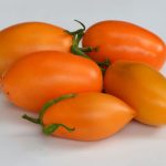 بذر گوجه فرنگی قندیل