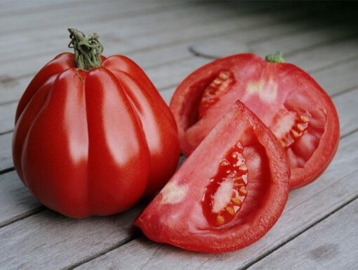 بذر گوجه فرنگی قرمز دندانه دار