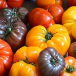 بذر گوجه فرنگی درشت