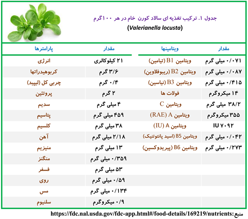 سالاد کورن