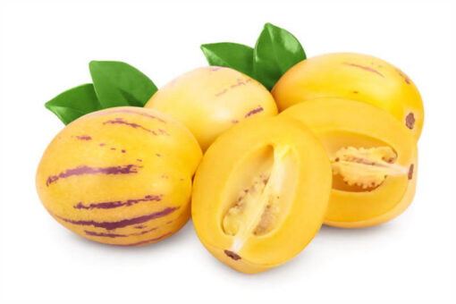 بذر پپینو زرد