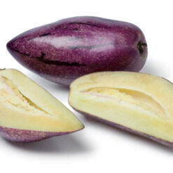 بذر پپینو بنفش