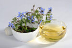 بذر گاوزبان اروپایی