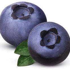 بذر بلوبری جواهر