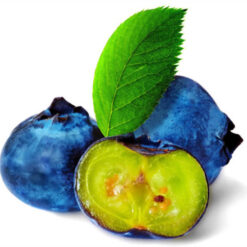 بذر بلوبری جواهر