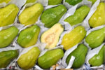 بذر گواوا سبز گلابی