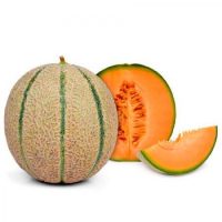 بذر طالبی شاه آبادی