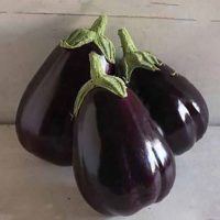 بذر بادمجان دلمه ای