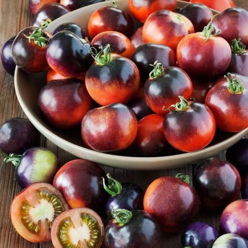 بذر گوجه بلوبری