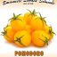 بذر گوجه چری زرد