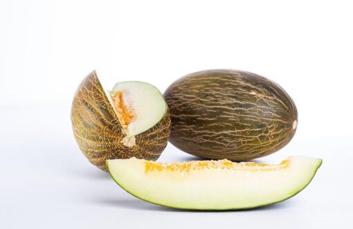 بذر ملون تاشکندی