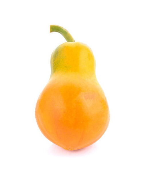 بذر پاپایا گلد کارینا