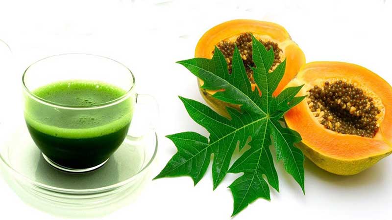 papaya leaves