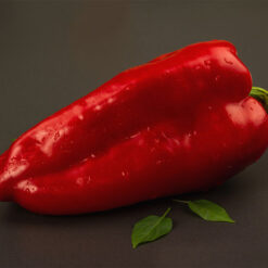 بذر فلفل کاپی قرمز