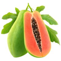 بذر پاپایا VNR