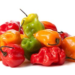 بذر فلفل هابانرو