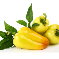 بذر فلفل پاپریکا