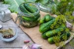 بذرخیارخاردار
