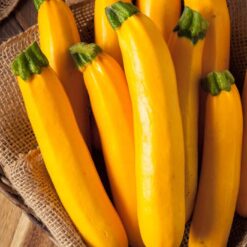 بذر کدو خورشتی زرد