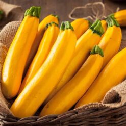 بذر کدو خورشتی زرد