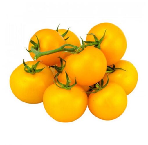 بذر گوجه فرنگی زرد پرتقالی